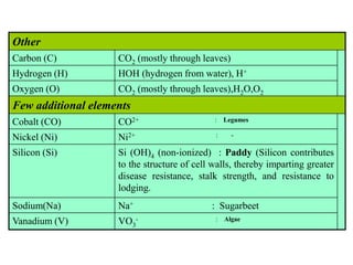 Other
Carbon (C) CO2 (mostly through leaves)
Hydrogen (H) HOH (hydrogen from water), H+
Oxygen (O) CO2 (mostly through leaves),H2O,O2
Few additional elements
Cobalt (CO) CO2+ : Legumes
Nickel (Ni) Ni2+ : -
Silicon (Si) Si (OH)4 (non-ionized) : Paddy (Silicon contributes
to the structure of cell walls, thereby imparting greater
disease resistance, stalk strength, and resistance to
lodging.
Sodium(Na) Na+ : Sugarbeet
Vanadium (V) VO3
- : Algae
 