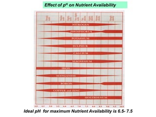 Effect of pH on Nutrient Availability
Ideal pH for maximum Nutrient Availability is 6.5- 7.5
 