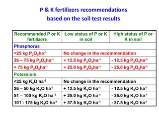P & K fertilizers recommendations
based on the soil test results
Recommended P or K
fertilizers
Low status of P or K
in soil
High status of P or
K in soil
Phosphorus
<25 kg P2O5ha-1 No change in the recommendation
26 – 75 kg P2O5ha-1 + 12.5 kg P2O5ha-1 - 12.5 kg P2O5ha-1
> 75 kg P2O5ha-1 + 25.0 kg P2O5ha-1 - 25.0 kg P2O5ha-1
Potassium
<25 kg K2O ha-1 No change in the recommendation
26 – 50 kg K2O ha-1 + 12.5 kg K2O ha-1 - 12.5 kg K2O ha-1
51 – 100 kg K2O ha-1 + 25.0 kg K2O ha-1 - 25.0 kg K2O ha-1
101 - 175 kg K2O ha-1 + 37.5 kg K2O ha-1 - 37.5 kg K2O ha-1
 