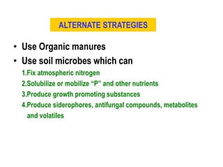 ALTERNATE STRATEGIES
• Use Organic manures
• Use soil microbes which can
1.Fix atmospheric nitrogen
2.Solubilize or mobilize “P” and other nutrients
3.Produce growth promoting substances
4.Produce siderophores, antifungal compounds, metabolites
and volatiles
 