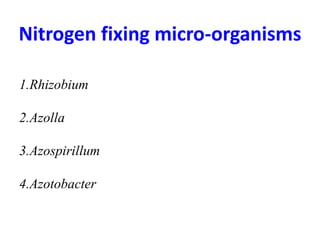 Nitrogen fixing micro-organisms
1.Rhizobium
2.Azolla
3.Azospirillum
4.Azotobacter
 