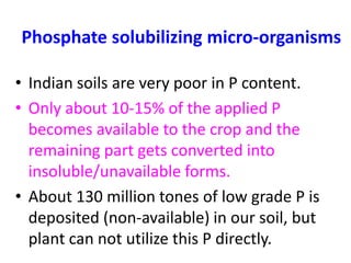 Phosphate solubilizing micro-organisms
• Indian soils are very poor in P content.
• Only about 10-15% of the applied P
becomes available to the crop and the
remaining part gets converted into
insoluble/unavailable forms.
• About 130 million tones of low grade P is
deposited (non-available) in our soil, but
plant can not utilize this P directly.
 