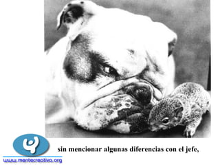 sin mencionar algunas diferencias con el jefe,
 