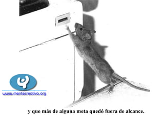 y que más de alguna meta quedó fuera de alcance.
 