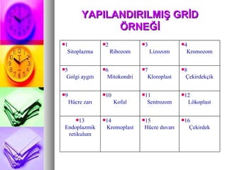 YAPILANDIRILMIŞ GRİD ÖRNEĞİ 1 Sitoplazma 2 Ribozom 3 Lizozom 4 Kromozom 5 Golgi aygıtı 6 Mitokondri 7 Kloroplast 8 Çekirdekçik 9 Hücre zarı 10 Koful 11 Sentrozom 12 Lökoplast 13 Endoplazmik retikulum 14 Kromoplast 15 Hücre duvarı 16 Çekirdek 
