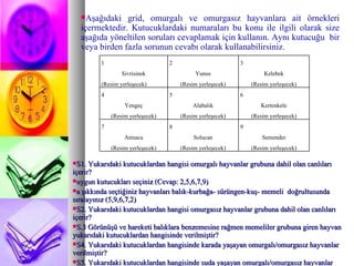 Aşağıdaki grid, omurgalı ve omurgasız hayvanlara ait örnekleri içermektedir. Kutucuklardaki numaraları bu konu ile ilgili olarak size aşağıda yöneltilen soruları cevaplamak için kullanın. Aynı kutucuğu  bir veya birden fazla sorunun cevabı olarak kullanabilirsiniz. S1. Yukarıdaki kutucuklardan hangisi omurgalı hayvanlar grubuna dahil olan canlıları içerir? uygun kutucukları seçiniz (Cevap: 2,5,6,7,9) a şıkkında seçtiğiniz hayvanları balık-kurbağa- sürüngen-kuş- memeli  doğrultusunda sıralayınız (5,9,6,7,2) S2. Yukarıdaki kutucuklardan hangisi omurgasız hayvanlar grubuna dahil olan canlıları içerir?  S.3 Görünüşü ve hareketi balıklara benzemesine rağmen memeliler grubuna giren hayvan yukarıdaki kutucuklardan hangisinde verilmiştir?  S4. Yukarıdaki kutucuklardan hangisinde karada yaşayan omurgalı/omurgasız hayvanlar verilmiştir?  S5. Yukarıdaki kutucuklardan hangisinde suda yaşayan omurgalı/omurgasız hayvanlar verilmiştir?  1 Sivrisinek (Resim yerleşecek) 2 Yunus (Resim yerleşecek) 3 Kelebek (Resim yerleşecek) 4 Yengeç (Resim yerleşecek) 5 Alabalık (Resim yerleşecek) 6 Kertenkele (Resim yerleşecek) 7 Atmaca (Resim yerleşecek) 8 Solucan (Resim yerleşecek) 9 Semender (Resim yerleşecek) 