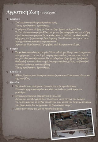 Yalova Folklore Museum