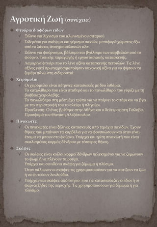 Yalova Folklore Museum