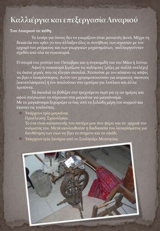 Yalova Folklore Museum