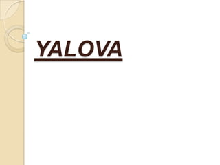 YALOVA
 