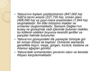  Yalova‟nın toplam yüzölçümünün (847,000 ha)
  %82‟si tarım arazisi (221,730 ha), orman alanı
  (468,090 ha) ve çayır-mera arazisinden (7,944 ha)
  oluĢmaktadır. Ġlin bitki örtüsünü makiler ve
  ormanlar oluĢturmaktadır. Samanlı Dağları‟nın
  kuzey ve güneyinde vadi içlerinde bulunan makiler,
  bu kütlenin etekleri boyunca kesintili Ģeritler ve
  parçalar halinde bulunurlar.
 Yalova‟nın güneyindeki dik yamaçlar tümüyle gür
  bir orman örtüsü ile kaplıdır. Ormanlık alanlarda
  genellikle kayın, meĢe, gürgen, kızılcık, kestane ve
  ıhlamur ağaçları görülür.
 Yalova‟daki ormanlardan çevrenin odun ve kereste
  ihtiyacı karĢılanmaktadır.
 
