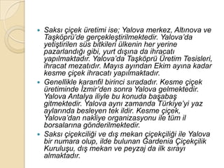    Saksı çiçek üretimi ise; Yalova merkez, Altınova ve
    TaĢköprü‟de gerçekleĢtirilmektedir. Yalova‟da
    yetiĢtirilen süs bitkileri ülkenin her yerine
    pazarlandığı gibi, yurt dıĢına da ihracatı
    yapılmaktadır. Yalova‟da TaĢköprü Üretim Tesisleri,
    ihracat mezatıdır. Mayıs ayından Ekim ayına kadar
    kesme çiçek ihracatı yapılmaktadır.
   Genellikle karanfil birinci sıradadır. Kesme çiçek
    üretiminde Ġzmir‟den sonra Yalova gelmektedir.
    Yalova Antalya iliyle bu konuda baĢabaĢ
    gitmektedir. Yalova aynı zamanda Türkiye‟yi yaz
    aylarında besleyen tek ildir. Kesme çiçek,
    Yalova‟dan nakliye organizasyonu ile tüm il
    borsalarına gönderilmektedir.
   Saksı çiçekciliği ve dıĢ mekan çiçekçiliği ile Yalova
    bir numara olup, ilde bulunan Gardenia Çiçekçilik
    KuruluĢu, dıĢ mekan ve peyzaj da ilk sırayı
    almaktadır.
 