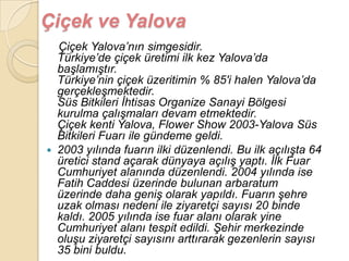 Çiçek ve Yalova
    Çiçek Yalova‟nın simgesidir.
    Türkiye‟de çiçek üretimi ilk kez Yalova‟da
    baĢlamıĢtır.
    Türkiye‟nin çiçek üzeritimin % 85′i halen Yalova‟da
    gerçekleĢmektedir.
    Süs Bitkileri Ġhtisas Organize Sanayi Bölgesi
    kurulma çalıĢmaları devam etmektedir.
    Çiçek kenti Yalova, Flower Show 2003-Yalova Süs
    Bitkileri Fuarı ile gündeme geldi.
   2003 yılında fuarın ilki düzenlendi. Bu ilk açılıĢta 64
    üretici stand açarak dünyaya açılıĢ yaptı. Ġlk Fuar
    Cumhuriyet alanında düzenlendi. 2004 yılında ise
    Fatih Caddesi üzerinde bulunan arbaratum
    üzerinde daha geniĢ olarak yapıldı. Fuarın Ģehre
    uzak olması nedeni ile ziyaretçi sayısı 20 binde
    kaldı. 2005 yılında ise fuar alanı olarak yine
    Cumhuriyet alanı tespit edildi. ġehir merkezinde
    oluĢu ziyaretçi sayısını arttırarak gezenlerin sayısı
    35 bini buldu.
 