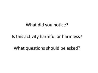 What did you notice?
Is this activity harmful or harmless?
What questions should be asked?
 