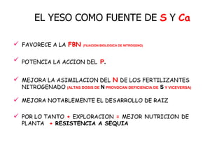 EL YESO COMO FUENTE DE   S   Y   Ca FAVORECE A LA   FBN   (FIJACION BIOLOGICA DE NITROGENO)  POTENCIA LA ACCION DEL   P . MEJORA LA ASIMILACION DEL   N   DE LOS FERTILIZANTES NITROGENADO   (ALTAS DOSIS DE   N   PROVOCAN DEFICIENCIA DE  S   Y VICEVERSA) MEJORA NOTABLEMENTE EL DESARROLLO DE RAIZ POR LO TANTO   +   EXPLORACION   =   MEJOR   NUTRICION   DE PLANTA     +  RESISTENCIA A SEQUIA 