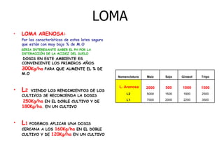 LOMA   LOMA ARENOSA: Por las características de estos lotes seguro que están con muy bajo % de M.O   SERIA INTERESANTE SABER EL PH POR LA INTERACCIÓN DE LA ACIDEZ DEL SUELO DOSIS EN ESTE AMBIENTE ES CONVENIENTE LOS PRIMEROS AÑOS  300 Kg/ha  PARA QUE AUMENTE EL % DE M.O L 2   VIENDO LOS RENDIMIENTOS DE LOS CULTIVOS SE RECOMIENDA LA DOSIS  250Kg/ha  EN EL DOBLE CULTIVO Y DE  180Kg/ha . EN UN CULTIVO   L 1  PODEMOS APLICAR UNA DOSIS CERCANA A LOS  160Kg/ha   EN EL DOBLE CULTIVO Y DE  120Kg/ha  EN UN CULTIVO 3500 2200 2000 7000 L1 2500 1800 1500 5000 L2 1500 1000 500 2000 L. Arenosa Trigo Girasol Soja Maíz Nomenclatura 