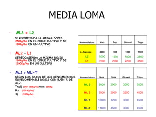 MEDIA LOMA   ML 3  =  L 2     SE RECOMIENDA LA MISMA DOSIS  250Kg/ha  EN EL DOBLE CULTIVO Y DE  180Kg/ha  EN UN CULTIVO ML 2  =  L 1 SE RECOMIENDA LA MISMA DOSIS   160Kg/ha  EN EL DOBLE CULTIVO Y DE  1200Kg/ha  EN UN CULTIVO  ML 1   Y  ML- T SEGUN LOS DATOS DE LOS RENDIMIENTOS ES RECOMENABLE DOSIS   CON BUEN % DE M.O. Tr/Sj  (140-160Kg/ha )   Prom:   150Kg Mz        (100 Kg/ha) Sj           (100Kg/ha) 3500 2200 2000 7000 L1 2500 1800 1500 5000 L2 1500 1000 500 2000 L. Arenosa Trigo Girasol Soja Maíz Nomenclatura 4500 3000 3500 11000 ML-T 4500 3000 3200 10000 ML 1 4000 2200 2500 7000 ML 2 3500 2000 2000 5000 ML 3 Trigo Girasol Soja Maíz Nomenclatura 