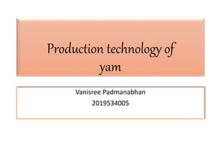 Production technology of
yam
Vanisree Padmanabhan
2019534005
 