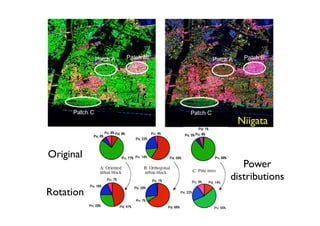 Niigata


Original
              Power
           distributions
Rotation
 