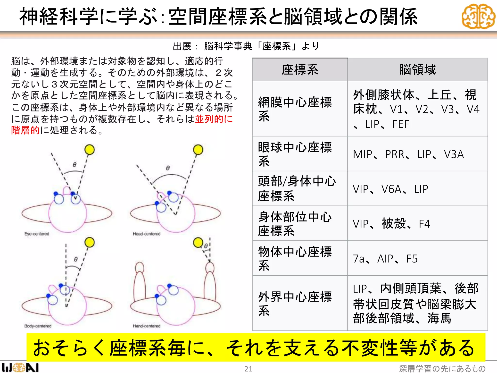 神経科学に学ぶ：空間座標系と脳領域との関係
深層学習の先にあるもの21
座標系 脳領域
網膜中心座標
系
外側膝状体、上丘、視
床枕、V1、V2、V3、V4
、LIP、FEF
眼球中心座標
系
MIP、PRR、LIP、V3A
頭部/身体中心
座標系
VIP、V6A、LIP
身体部位中心
座標系
VIP、被殻、F4
物体中心座標
系
7a、AIP、F5
外界中心座標
系
LIP、内側頭頂葉、後部
帯状回皮質や脳梁膨大
部後部領域、海馬
脳は、外部環境または対象物を認知し、適応的行
動・運動を生成する。そのための外部環境は、２次
元ないし３次元空間として、空間内や身体上のどこ
かを原点とした空間座標系として脳内に表現される。
この座標系は、身体上や外部環境内など異なる場所
に原点を持つものが複数存在し、それらは並列的に
階層的に処理される。
出展： 脳科学事典「座標系」より
おそらく座標系毎に、それを支える不変性等がある
 