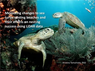 Measuring changes to sea
turtle nesting beaches and
their effects on nesting
success using LiDAR data

Kristina Yamamoto, PhD
http://surfspots-gps.com

 