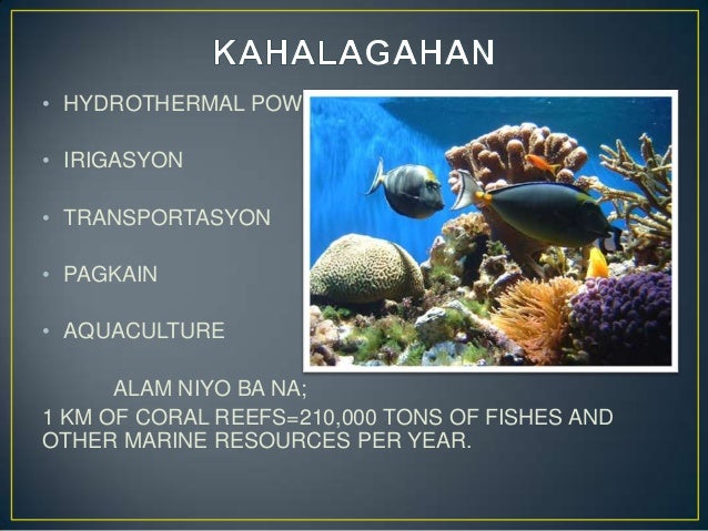 Kahalagahan Ng Tubig Sa Tao Yamang tubig (2)