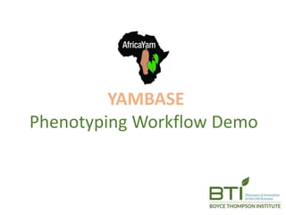 YAMBASE
Phenotyping Workflow Demo
 