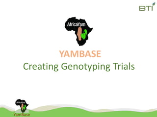 YamBase
YAMBASE
Creating Genotyping Trials
 