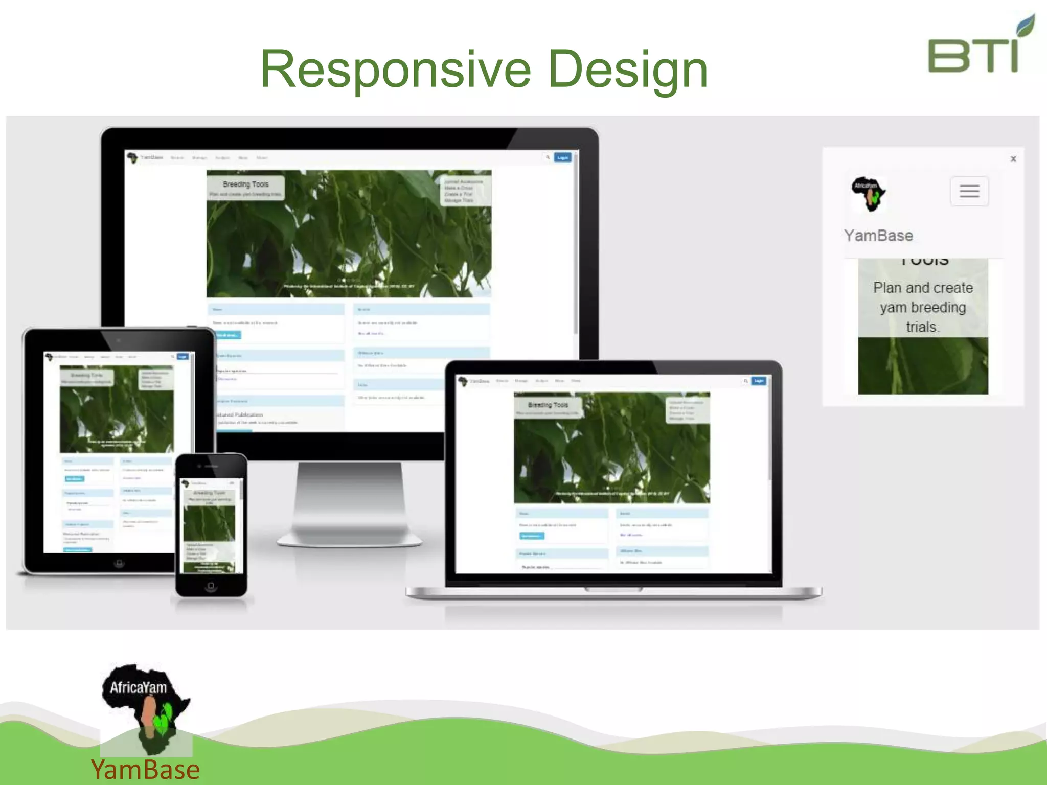 YamBase
Responsive Design
 