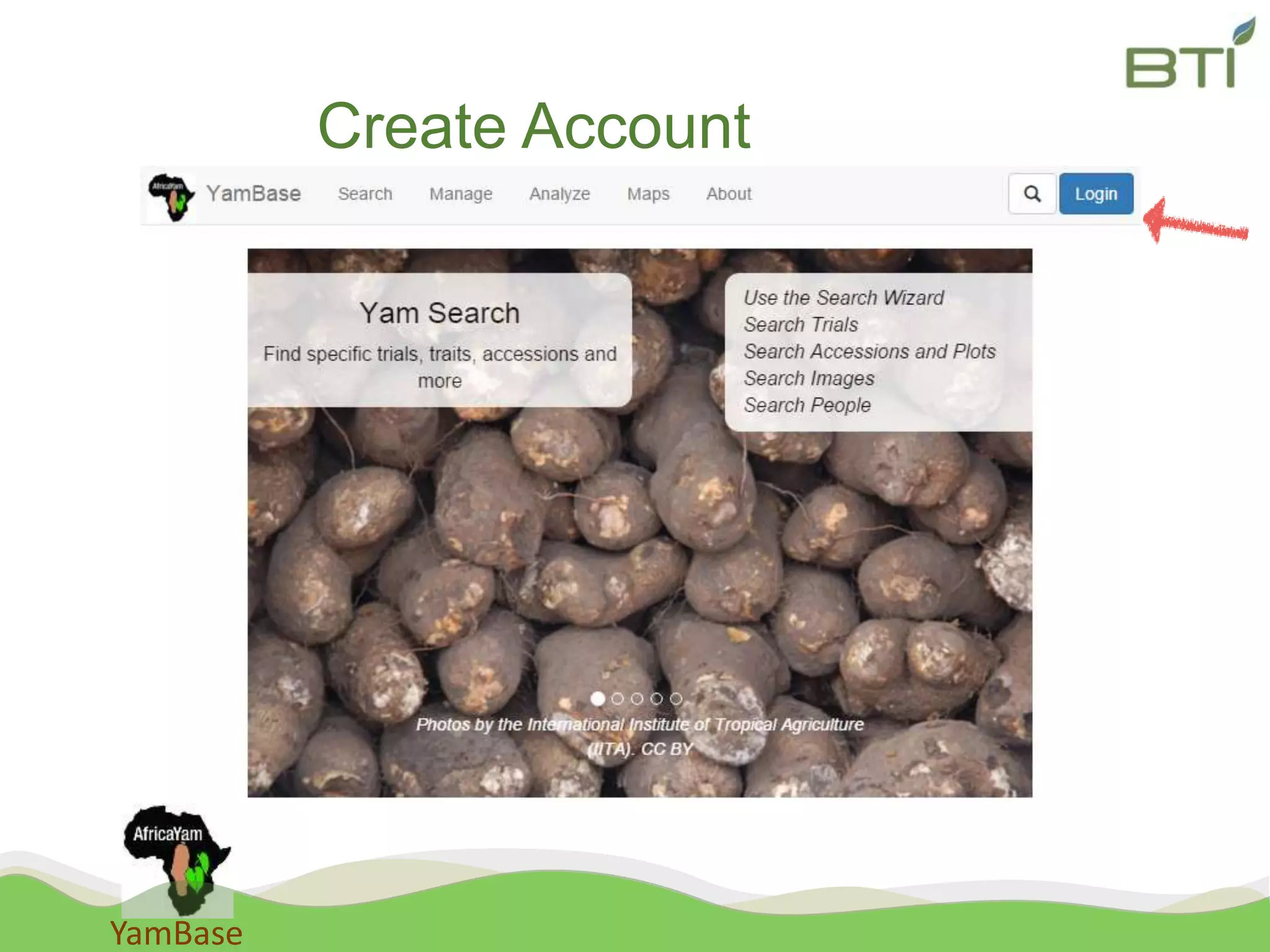 YamBase
Create Account
 