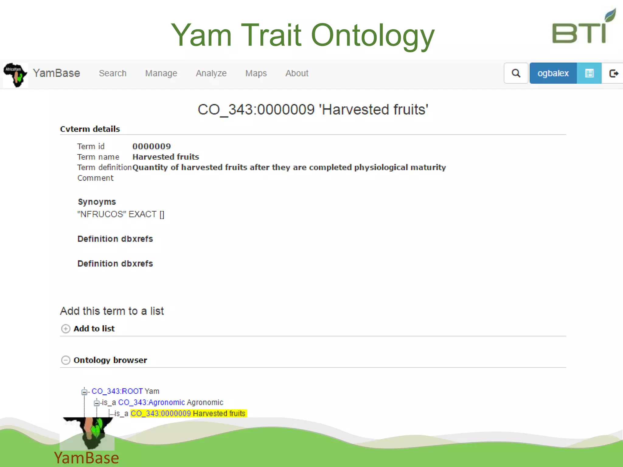 YamBase
Yam Trait Ontology
 