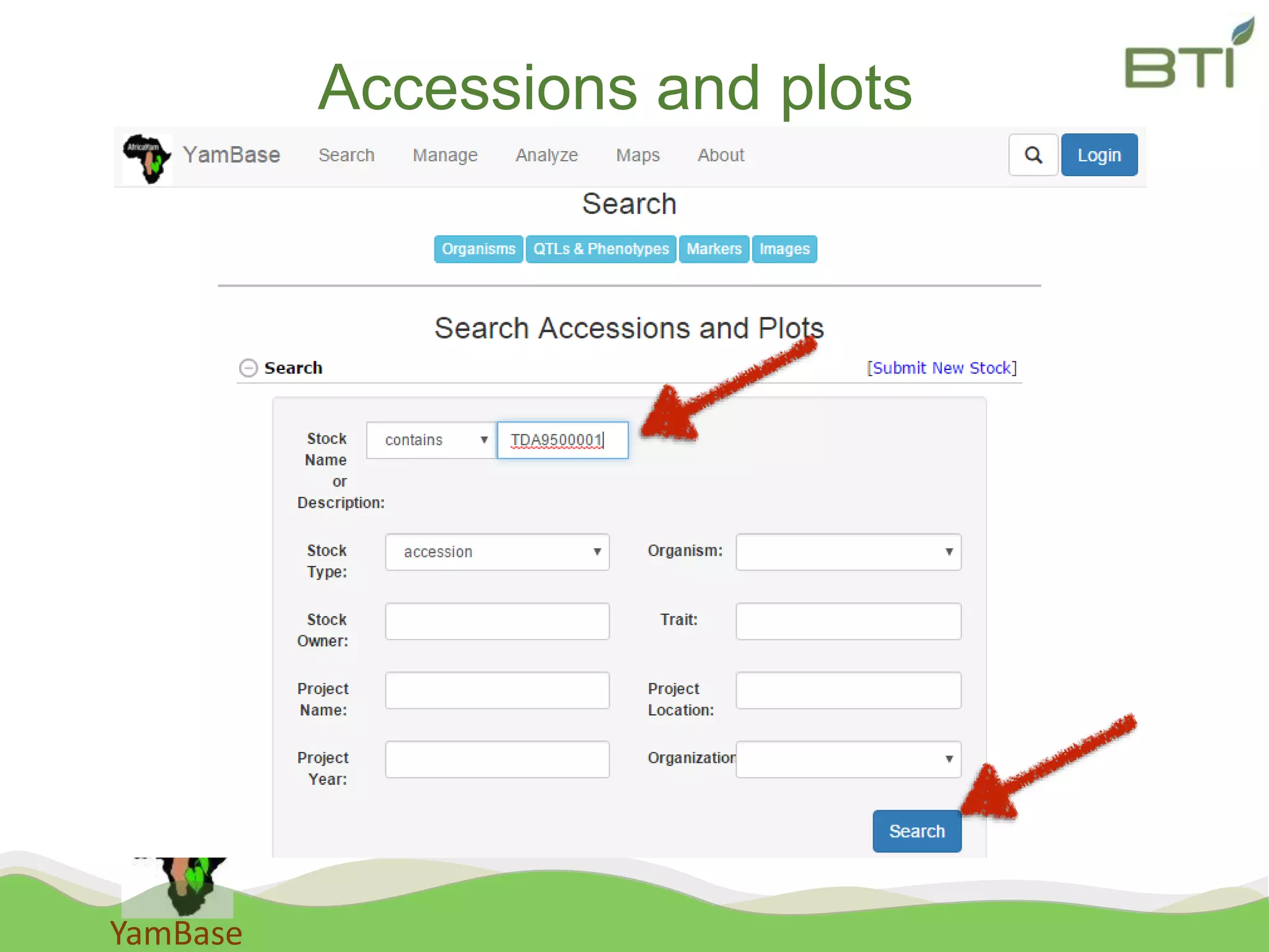 YamBase
Accessions and plots
 