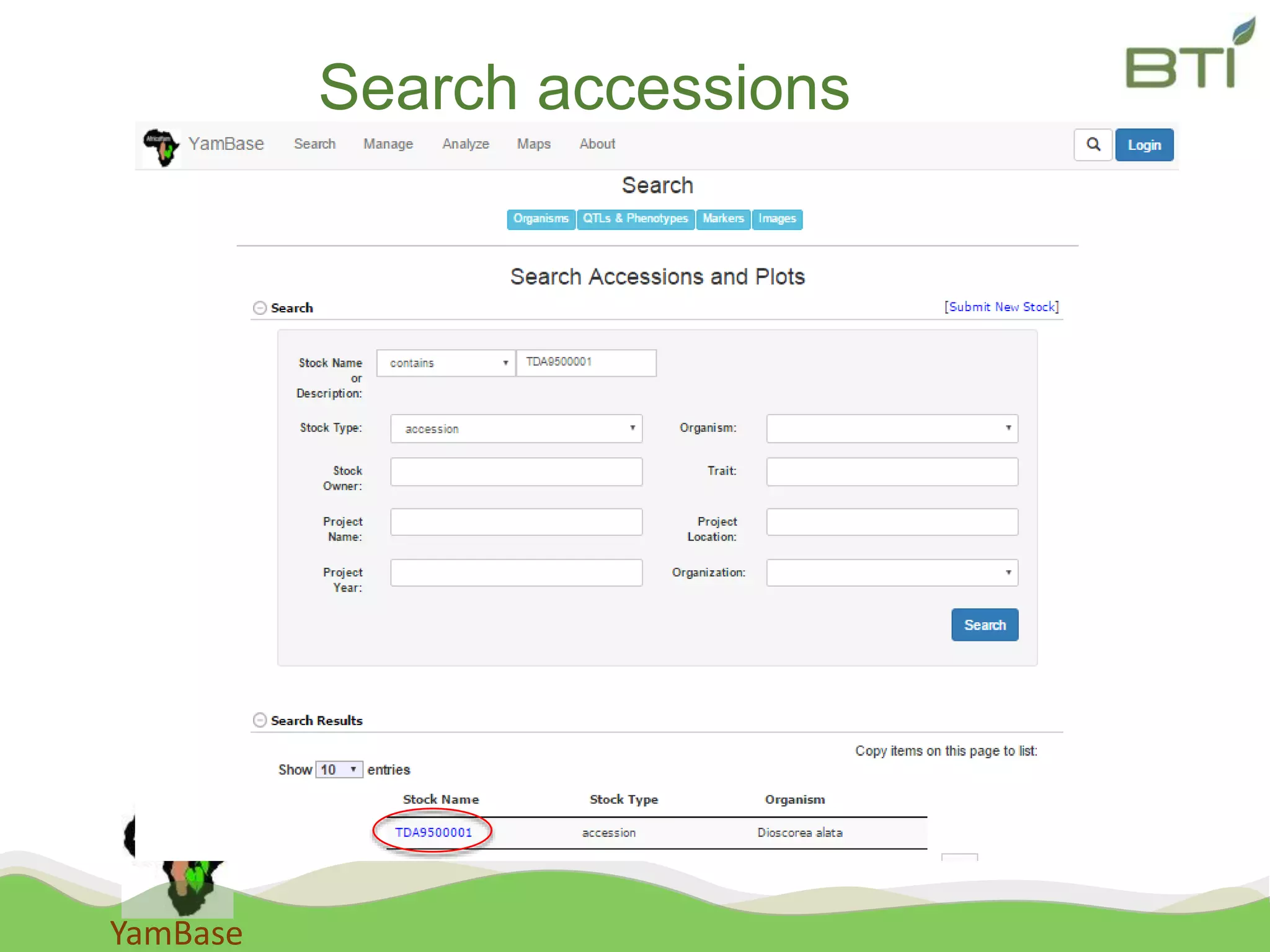 YamBase
Search accessions
 