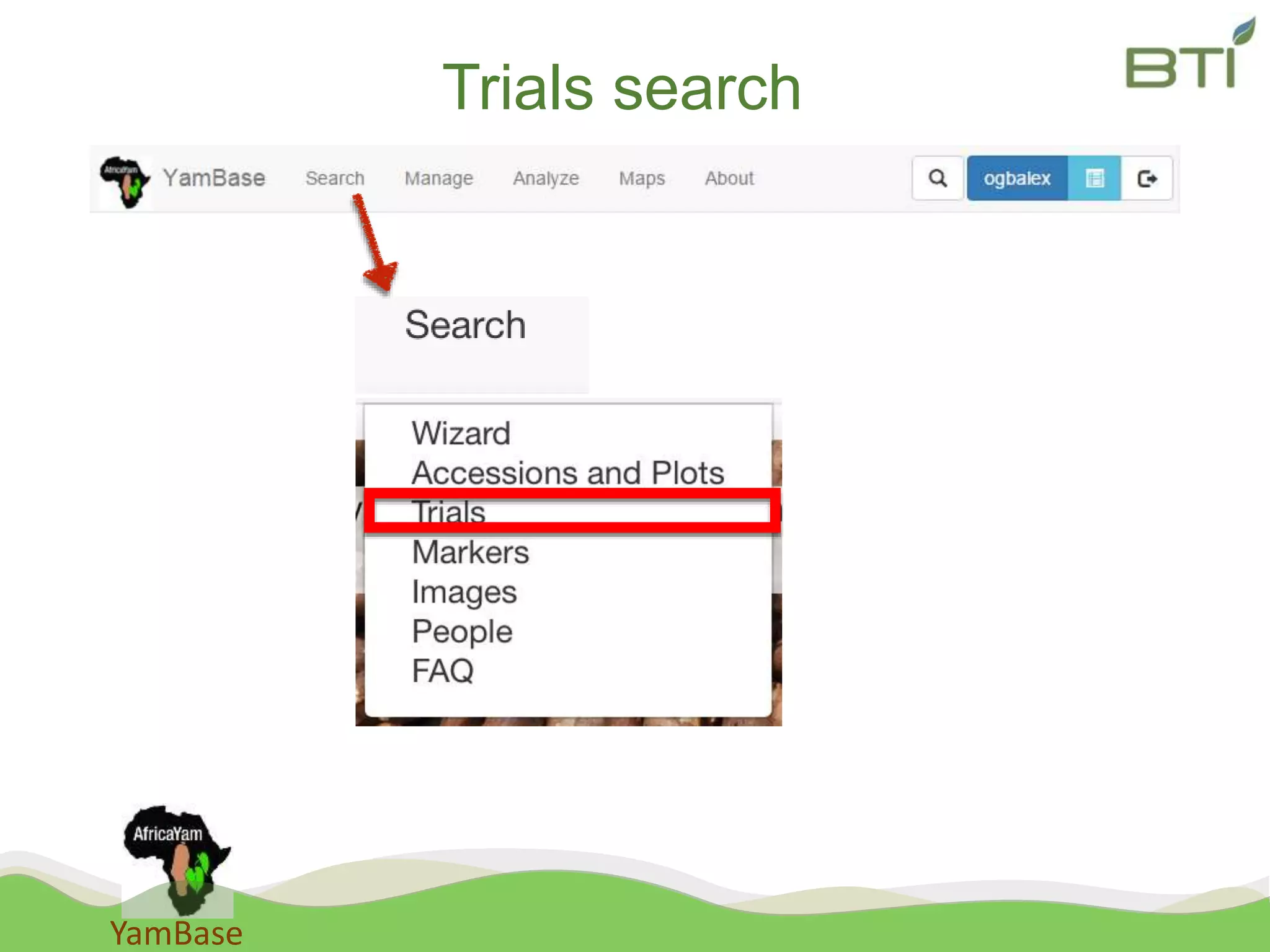 YamBase
Trials search
 