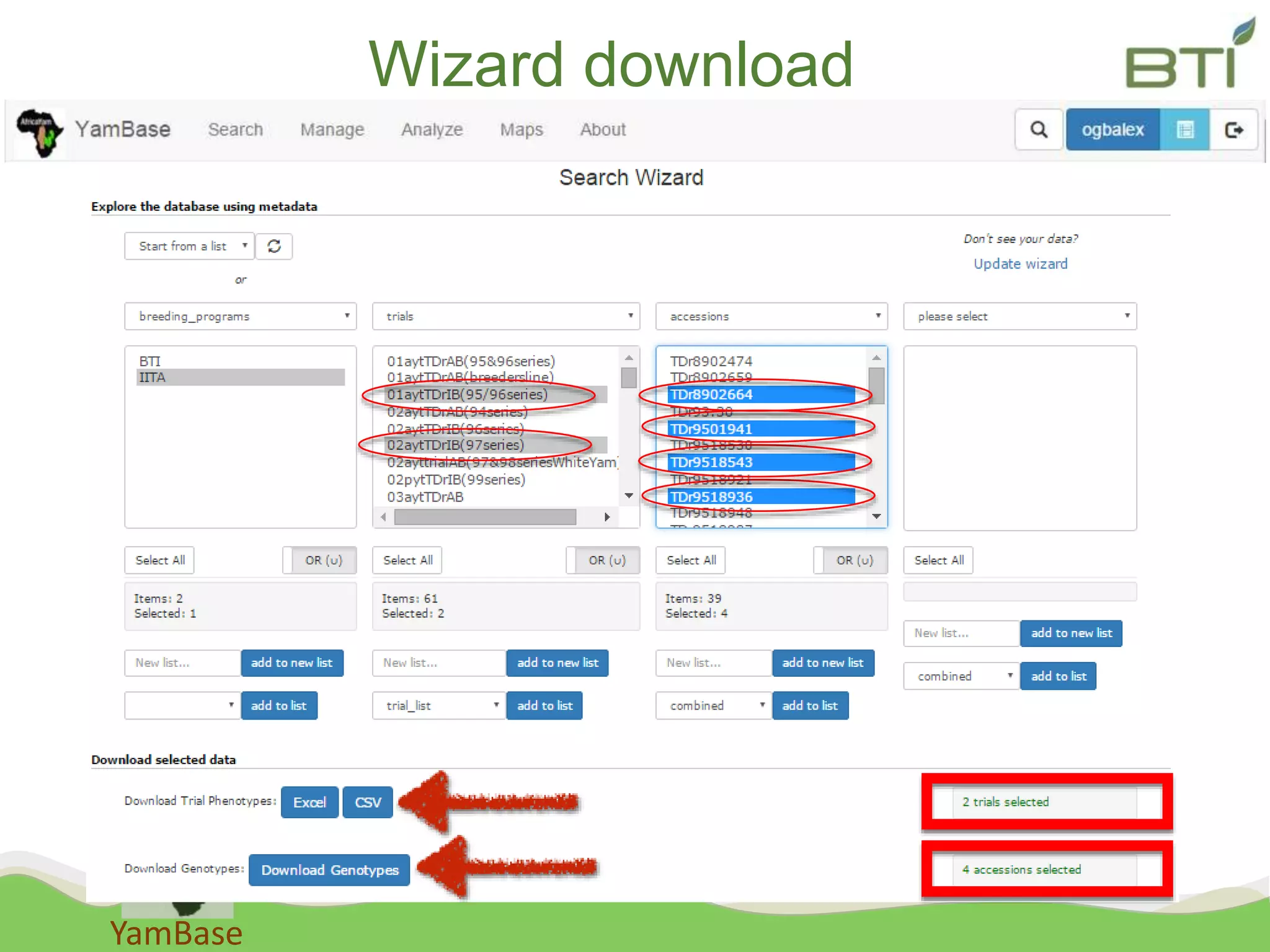 YamBase
Wizard download
 