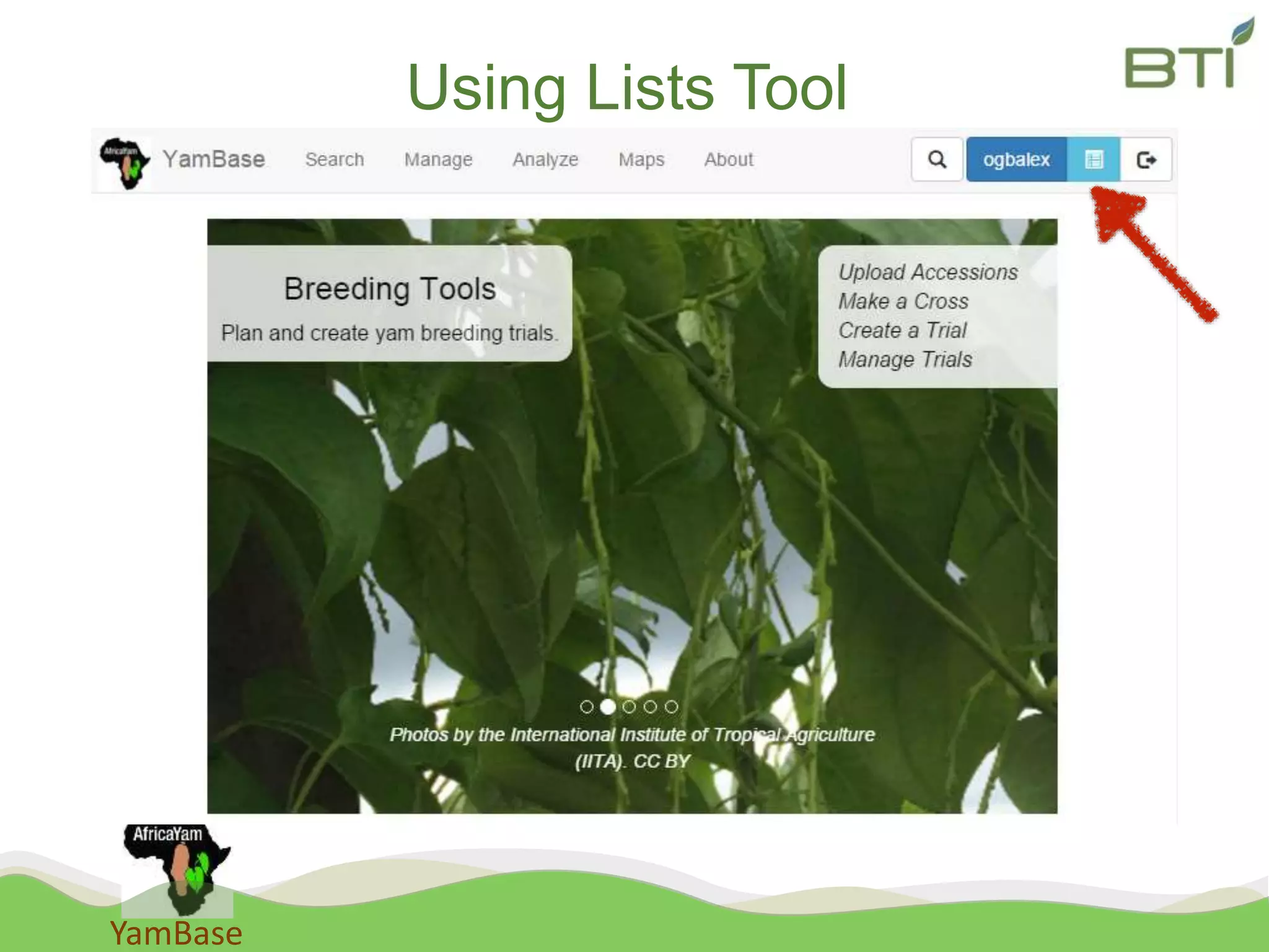 YamBase
Using Lists Tool
 