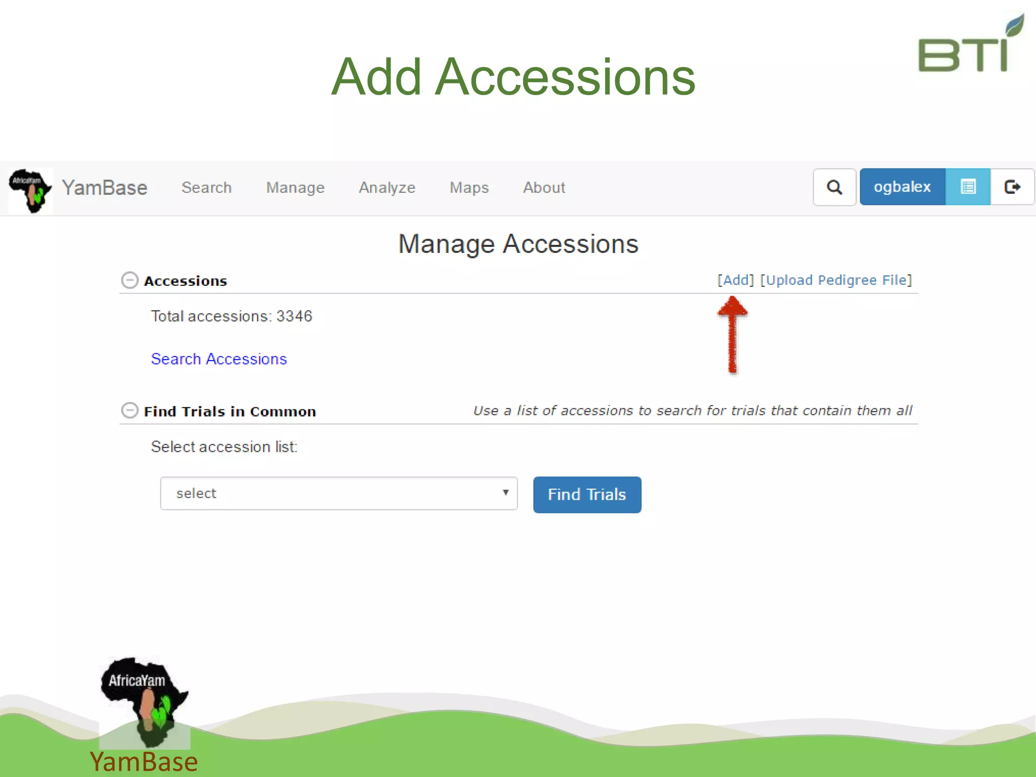 YamBase
Add Accessions
 