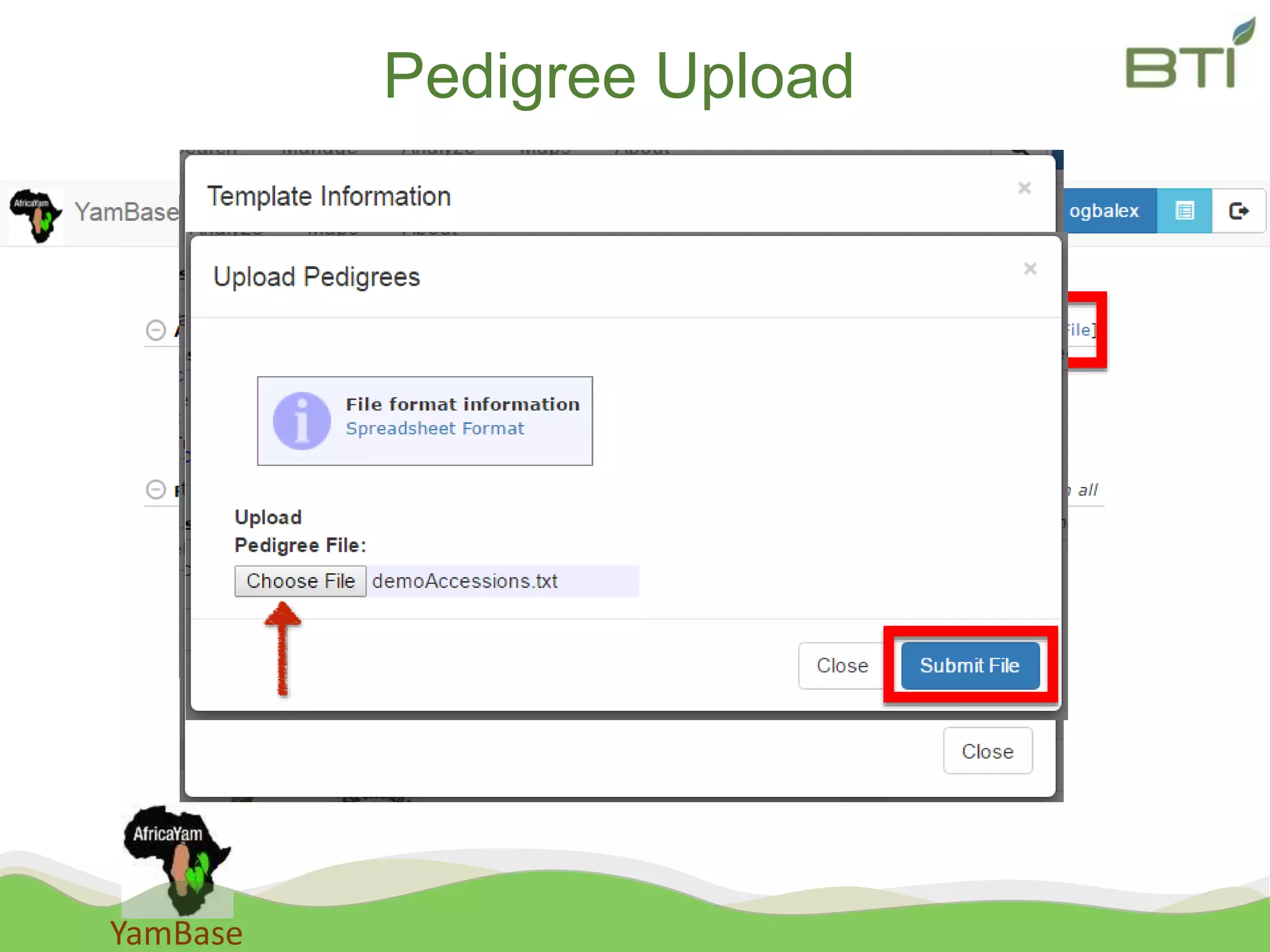 YamBase
Pedigree Upload
 