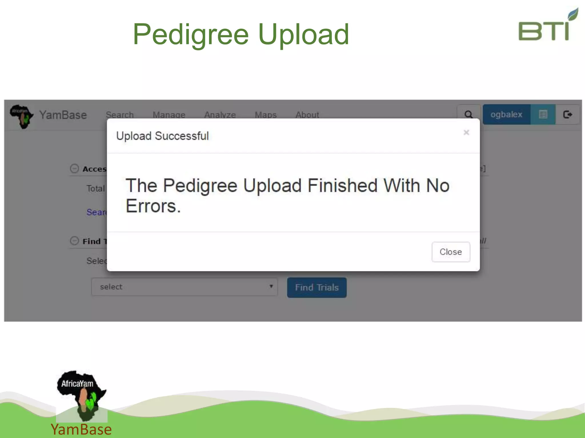 YamBase
Pedigree Upload
 