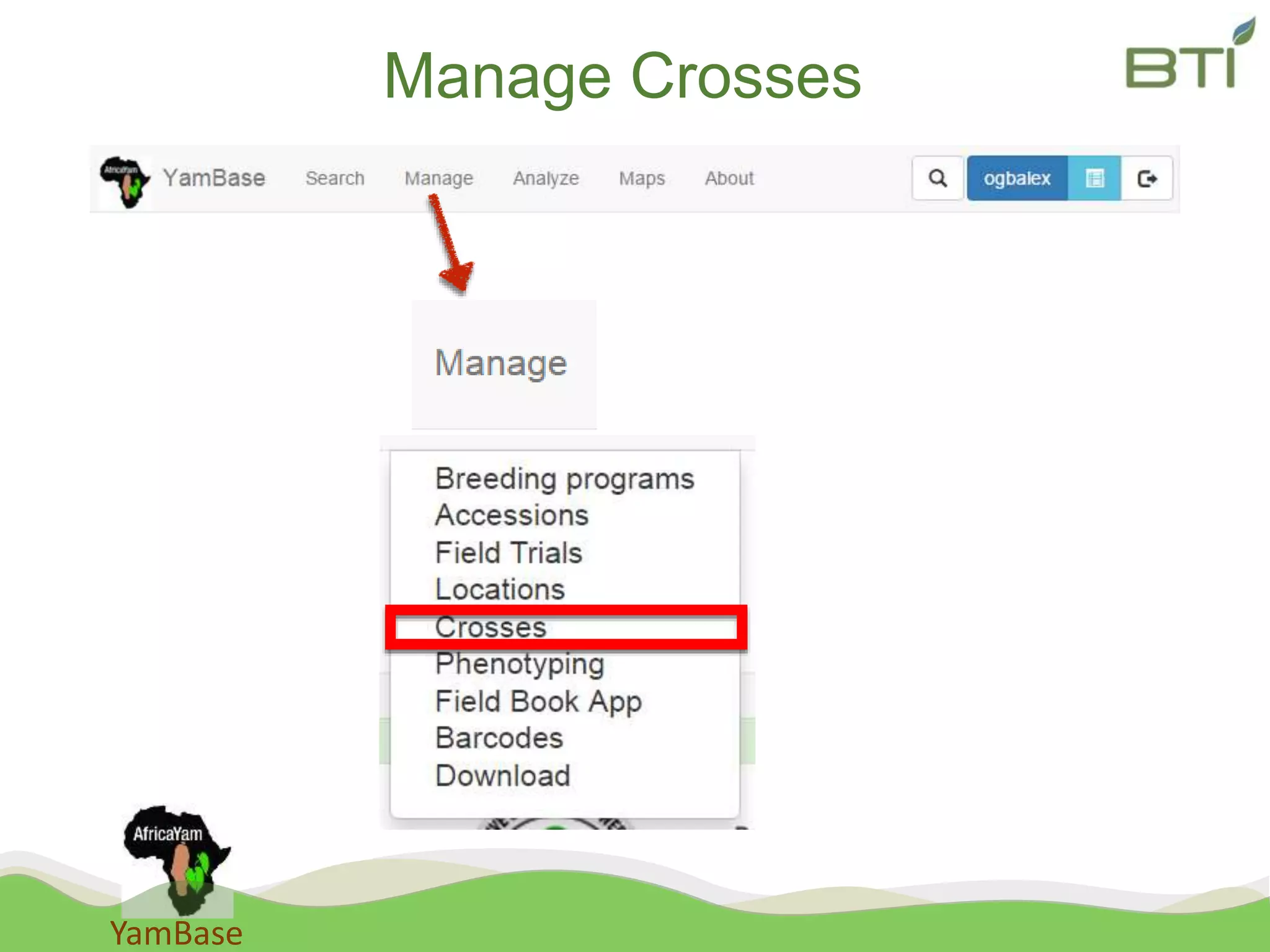 YamBase
Manage Crosses
 