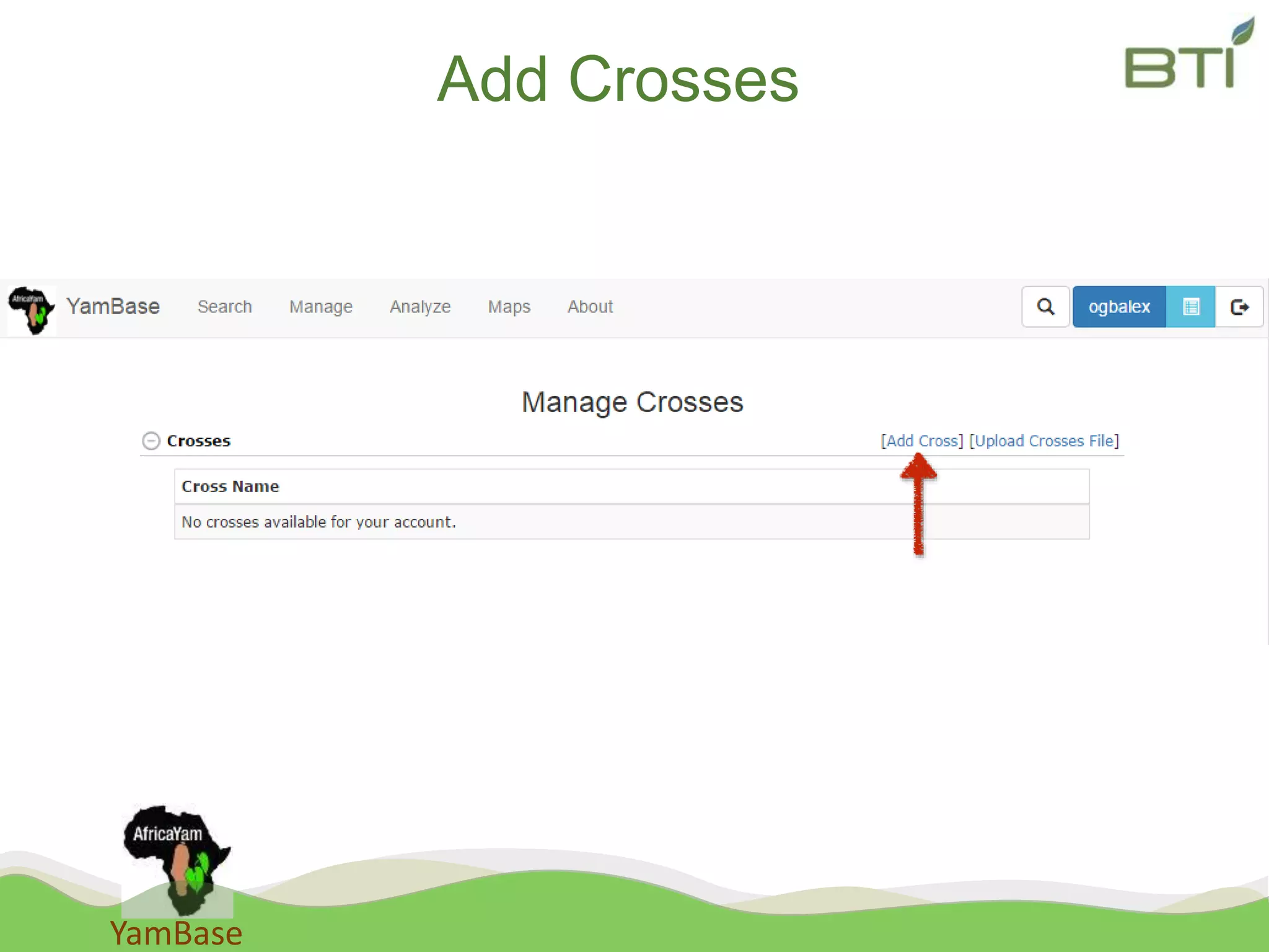 YamBase
Add Crosses
 