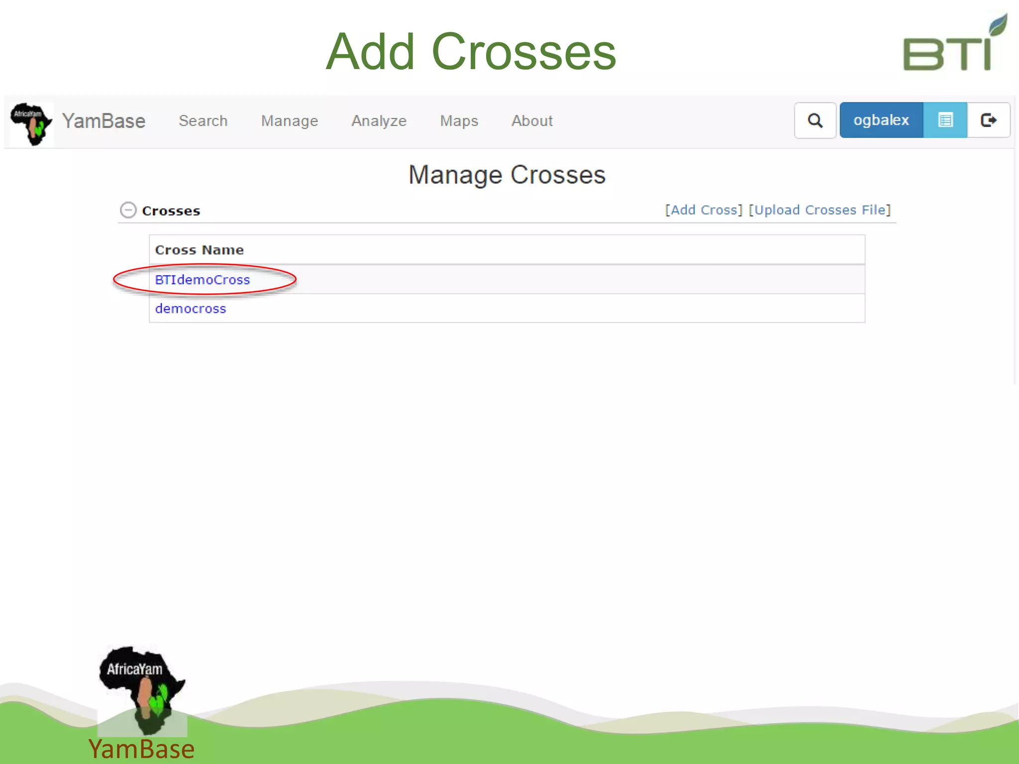 YamBase
Add Crosses
 