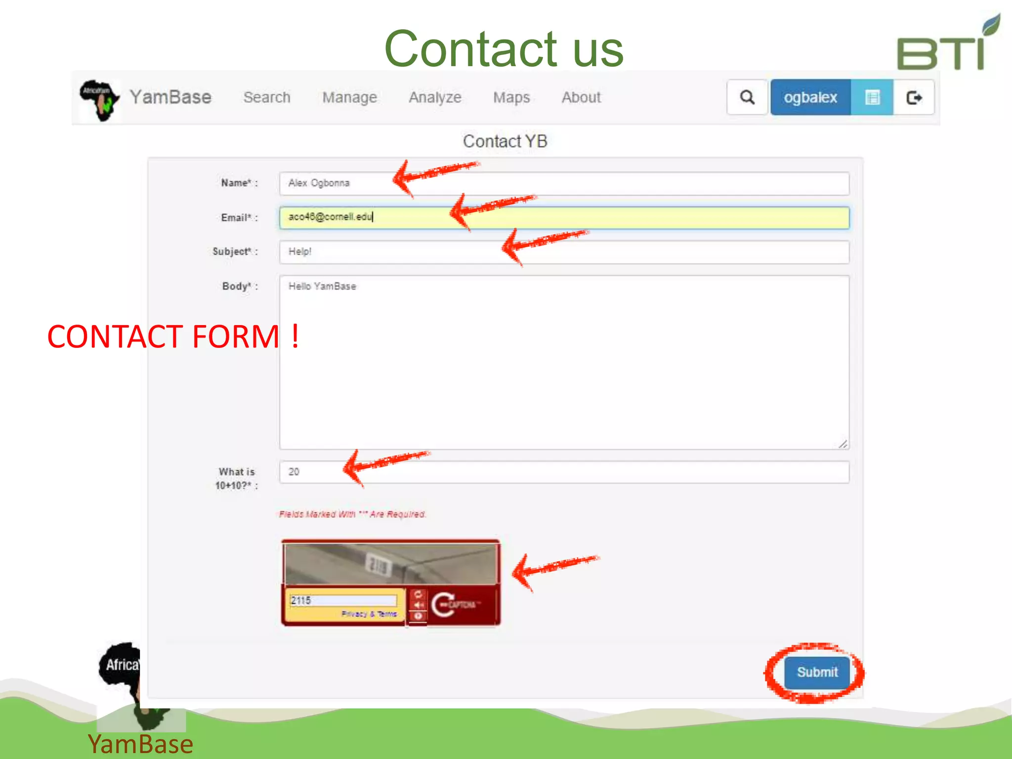 YamBase
Contact us
CONTACT FORM !
 