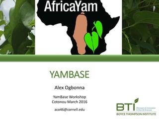 YAMBASE
Alex Ogbonna
YamBase Workshop
Cotonou March 2016
aco46@cornell.edu
 