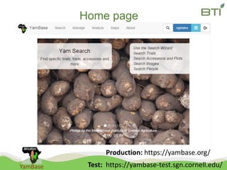YamBase
Home page
Production: https://yambase.org/
Test: https://yambase-test.sgn.cornell.edu/
 