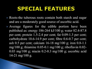  Roots-the tuberous roots contain both starch and sugar
and are a moderately good source of ascorbic acid.
 Average figures for the edible portion have been
published as: energy 186-264 kJ/100 g; water 82.4-87.8
per cent; protein 1.5-2.4 per cent; fat 0.09-1.3 per cent;
carbohydrate 10.6-14.9 per cent; fibre 0.6-0.7 per cent;
ash 0.5 per cent; calcium 16-18 mg/100 g; iron 0.8-1.1
mg/100 g; thiamine 0.05-0.1 mg/100 g; riboflavin 0.02-
0.03 mg/100 g; niacin 0.2-0.3 mg/100 g; ascorbic acid
14-21 mg/100 g.
 