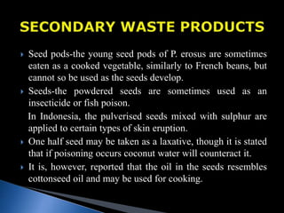  Seed pods-the young seed pods of P. erosus are sometimes
eaten as a cooked vegetable, similarly to French beans, but
cannot so be used as the seeds develop.
 Seeds-the powdered seeds are sometimes used as an
insecticide or fish poison.
In Indonesia, the pulverised seeds mixed with sulphur are
applied to certain types of skin eruption.
 One half seed may be taken as a laxative, though it is stated
that if poisoning occurs coconut water will counteract it.
 It is, however, reported that the oil in the seeds resembles
cottonseed oil and may be used for cooking.
 