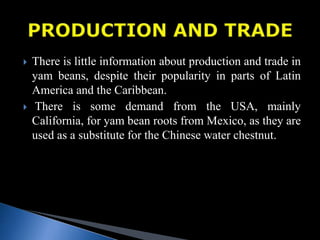  There is little information about production and trade in
yam beans, despite their popularity in parts of Latin
America and the Caribbean.
 There is some demand from the USA, mainly
California, for yam bean roots from Mexico, as they are
used as a substitute for the Chinese water chestnut.
 