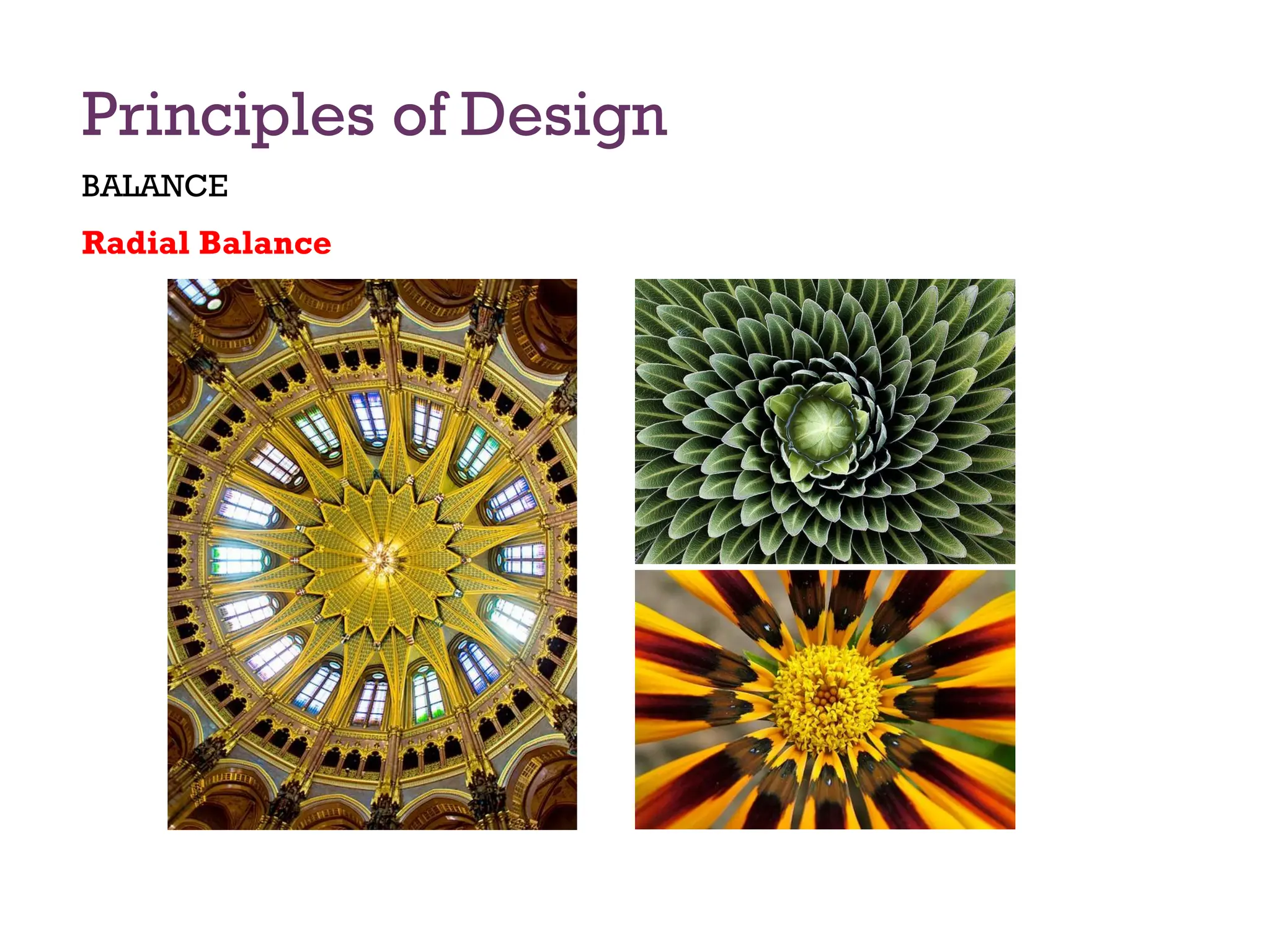 Principles of Design
BALANCE
Radial Balance
 