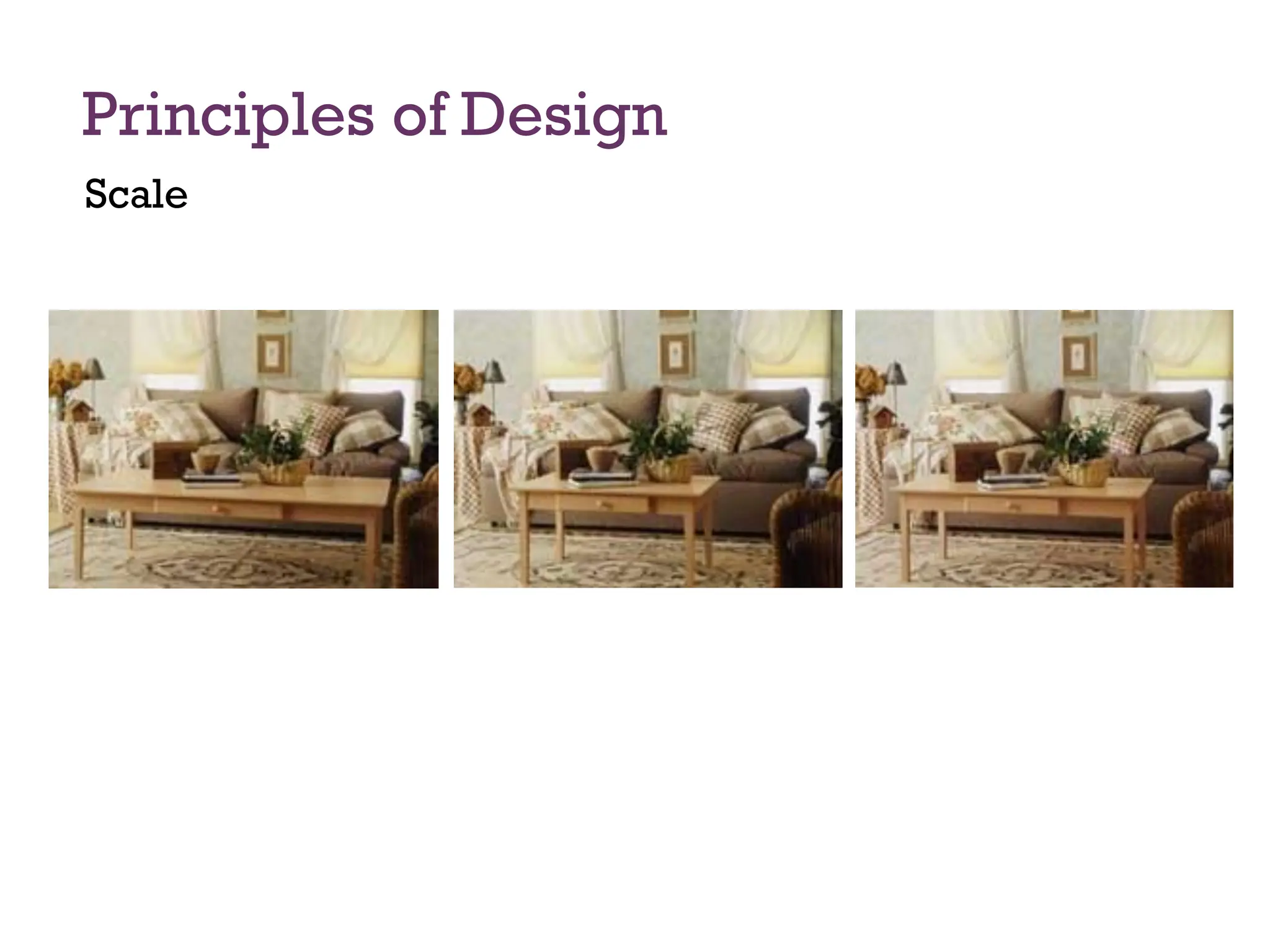 Principles of Design
Scale
 